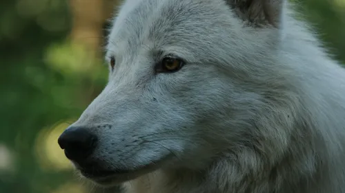 Atelier Légo au Parc Argonne Découverte.